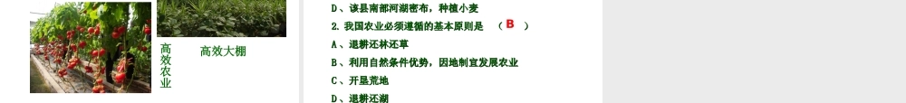八年级地理上册 第四章 第二节《农业》课件3 （新版）新人教版-（新版）新人教版初中八年级上册地理课件