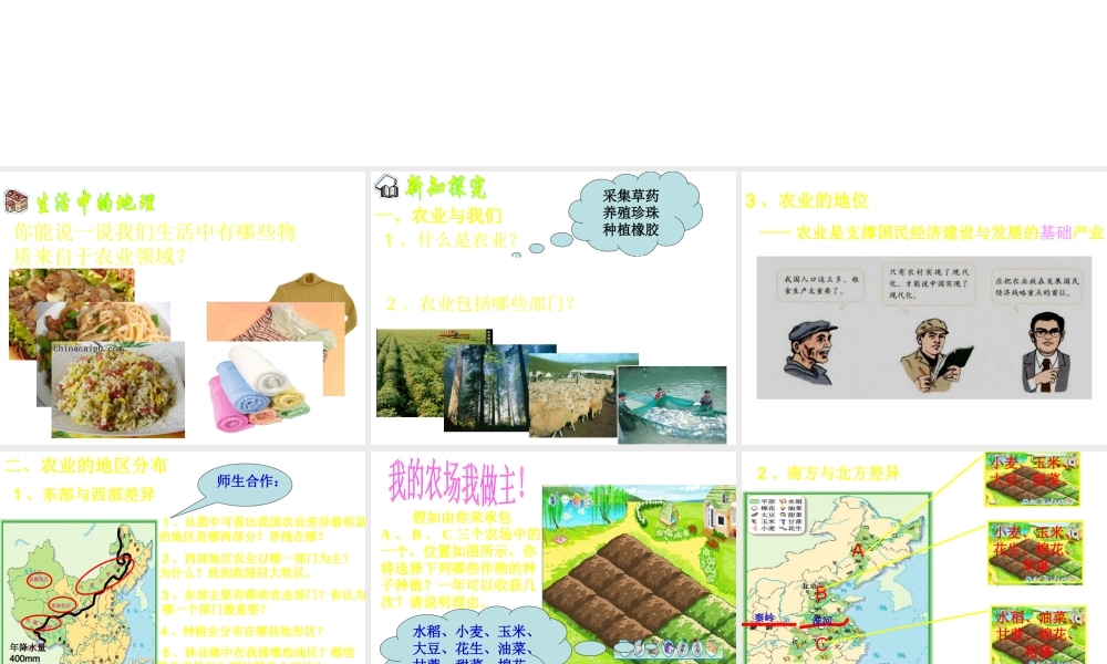 八年级地理上册 第四章 第二节《因地制宜发展农业》课件 新人教版