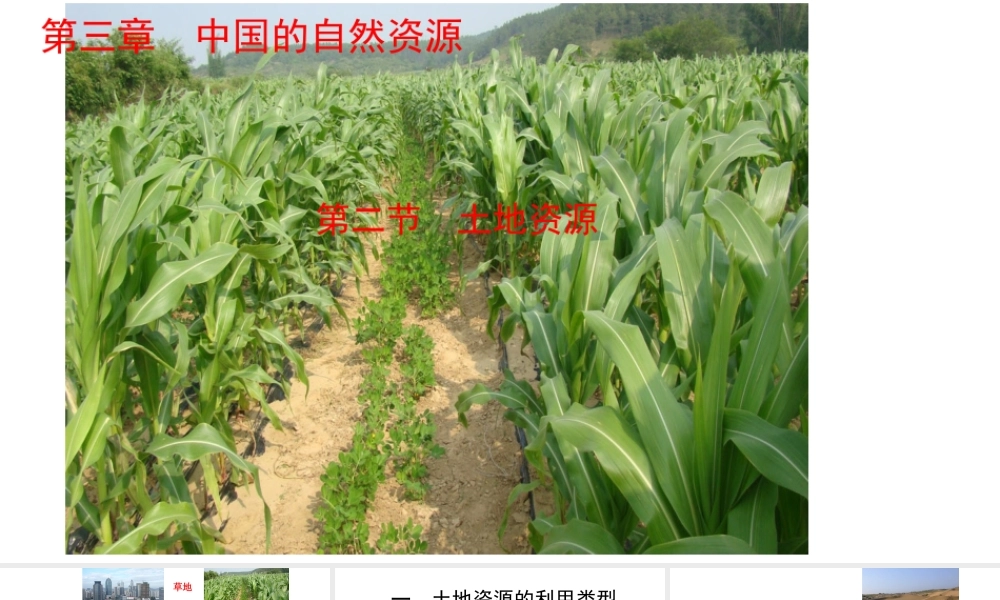 八年级地理上册 第三章 第二节 土地资源课件 （新版）新人教版-（新版）新人教版初中八年级上册地理课件