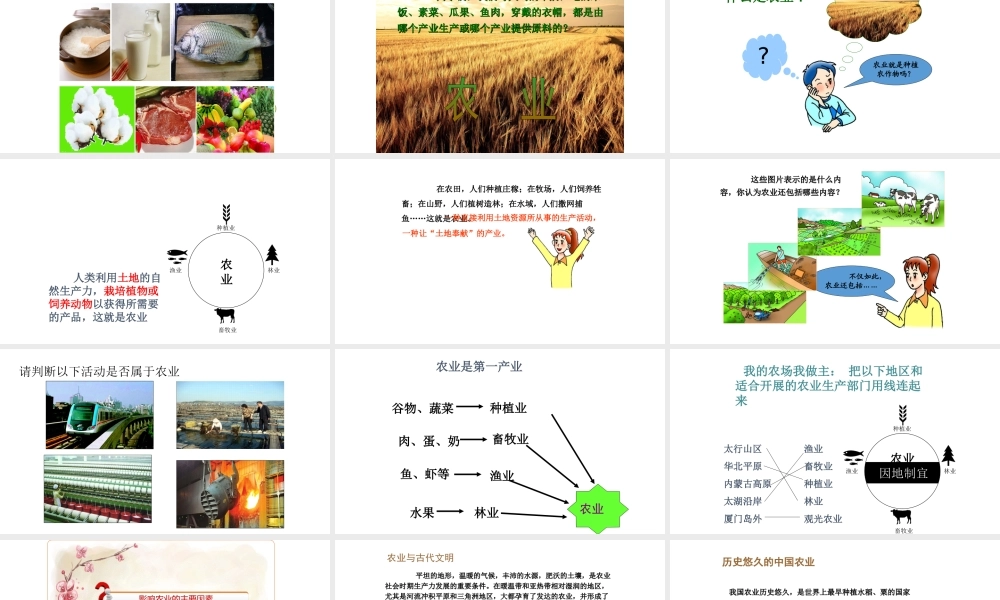 八年级地理上册 第四章第一节农业课件 （新版）湘教版-（新版）湘教版初中八年级上册地理课件