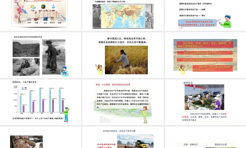 八年级地理上册 第四章第一节农业课件 （新版）湘教版-（新版）湘教版初中八年级上册地理课件