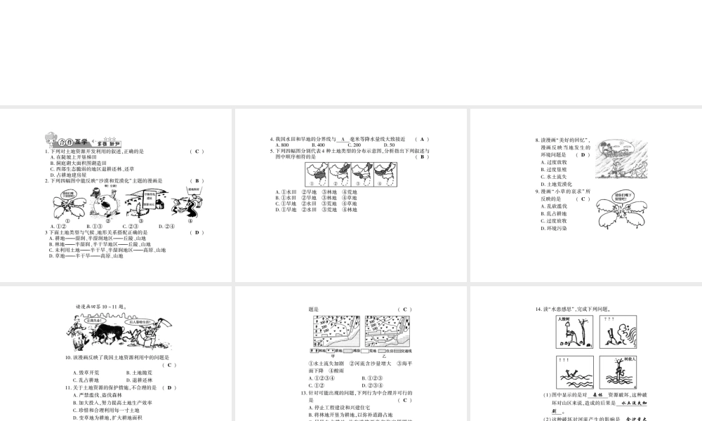 八年级地理上册 第三章 第二节 中国的土地资源（第2课时）习题课件 （新版）湘教版-（新版）湘教版初中八年级上册地理课件