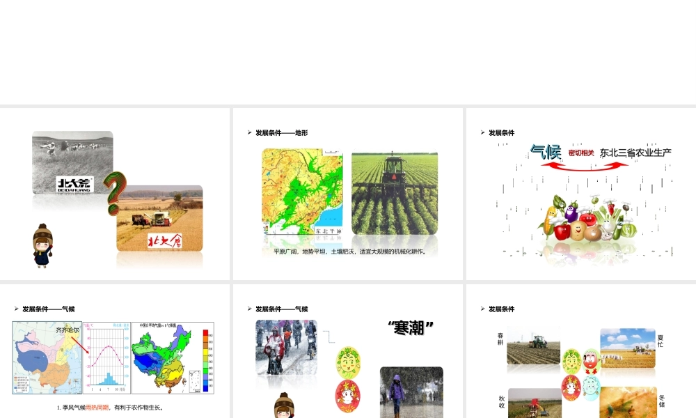 八年级地理下册 6.2“白山黑水”——东北三省 东北地区的农业生产及农业问题课件 （新版）新人教版-（新版）新人教版初中八年级下册地理课件