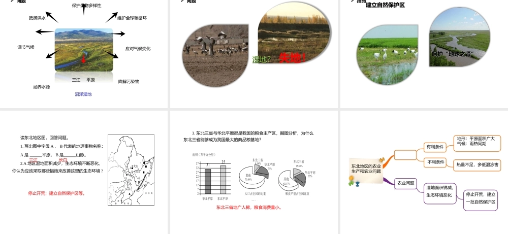 八年级地理下册 6.2“白山黑水”——东北三省 东北地区的农业生产及农业问题课件 （新版）新人教版-（新版）新人教版初中八年级下册地理课件