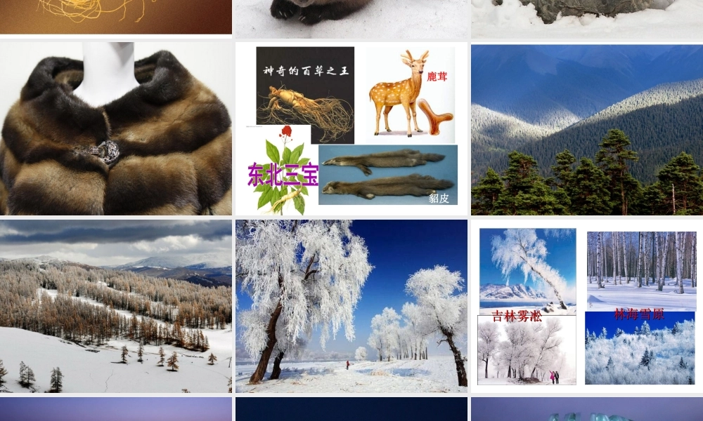 八年级地理下册 6.2“白山黑水”——东北三省课件 （新版）新人教版-（新版）新人教版初中八年级下册地理课件