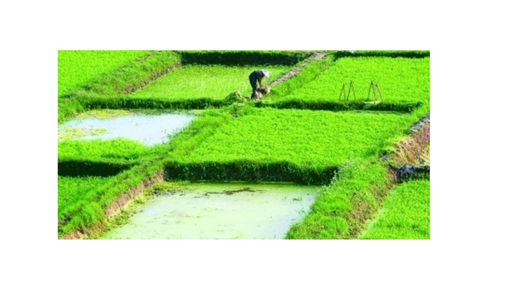 八年级地理上册《2.2 中国的气候》课件1 湘教版-湘教版初中八年级上册地理课件