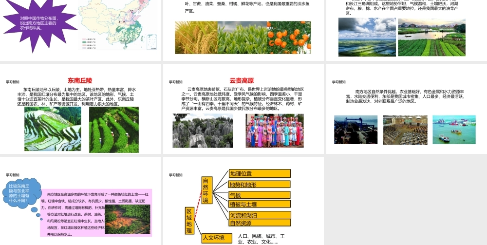 八年级地理下册 6.2《南方地区》课件 （新版）粤教版-（新版）粤教版初中八年级下册地理课件