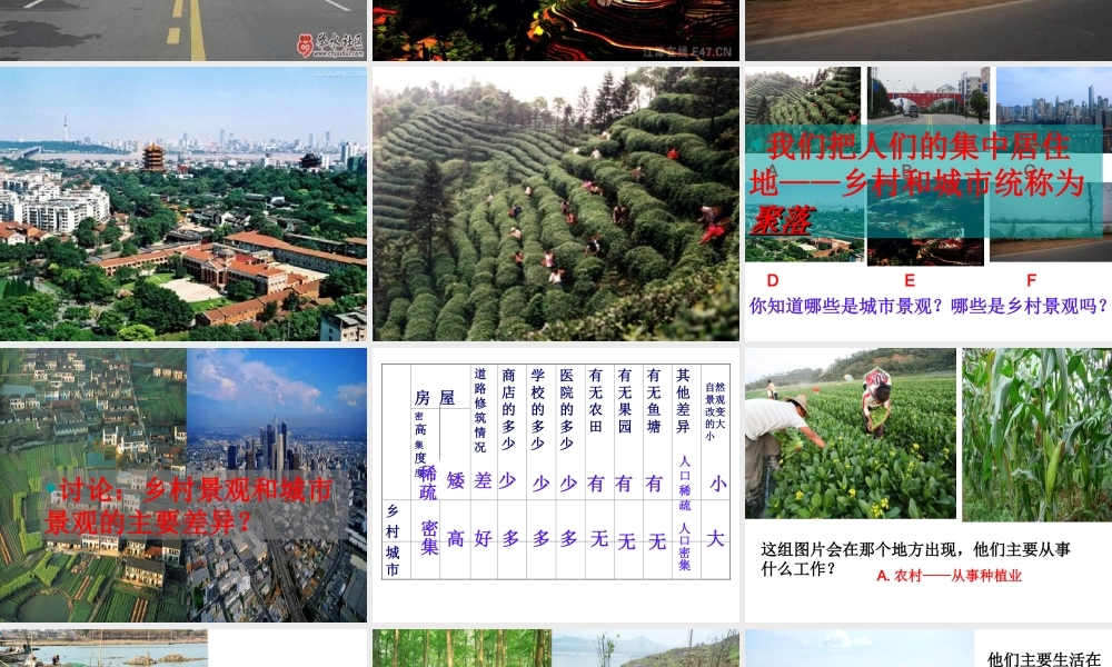 八年级地理上册 第三章 第三节 聚落课件3 中图版-中图版初中八年级上册地理课件