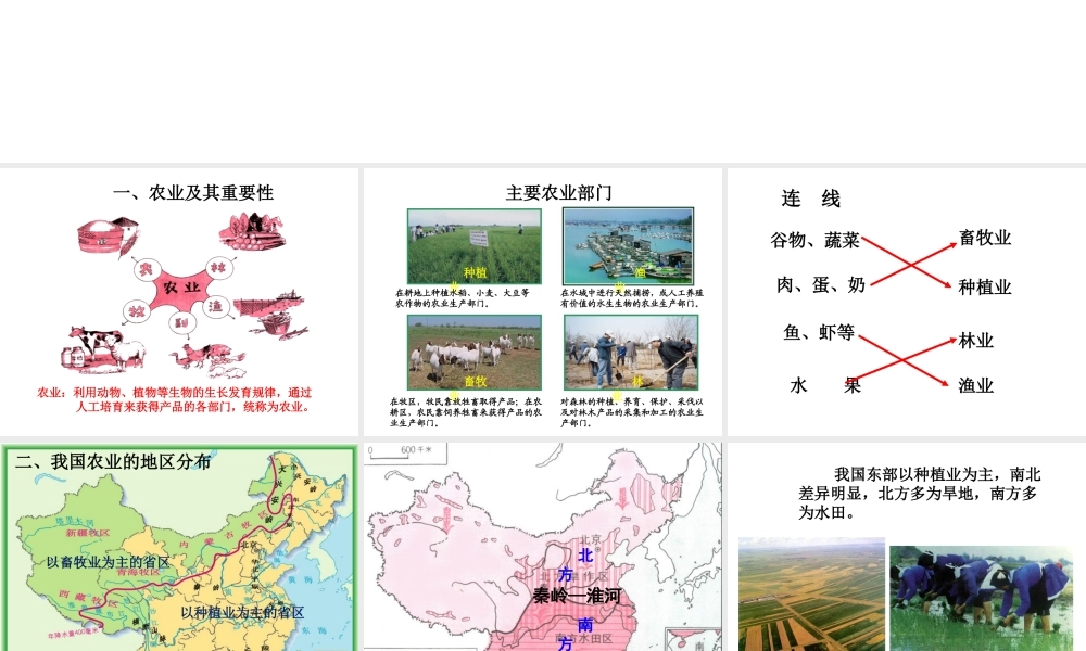 八年级地理上册《4.2 农业》课件1 （新版）新人教版