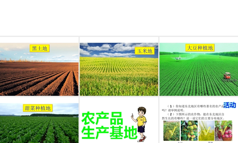 八年级地理下册 6.3 东北地区的产业分布课件 （新版）湘教版-（新版）湘教版初中八年级下册地理课件