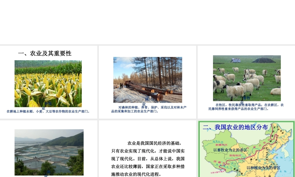 八年级地理上册《4.2 农业》课件3 （新版）新人教版