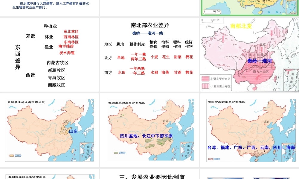 八年级地理上册《4.2 农业》课件3 （新版）新人教版