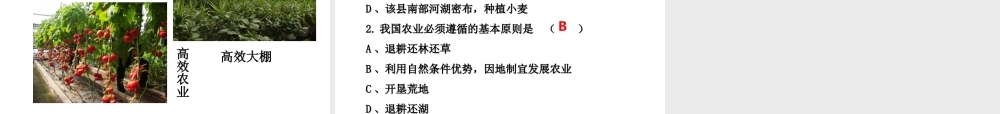 八年级地理上册《4.2 农业》课件3 （新版）新人教版