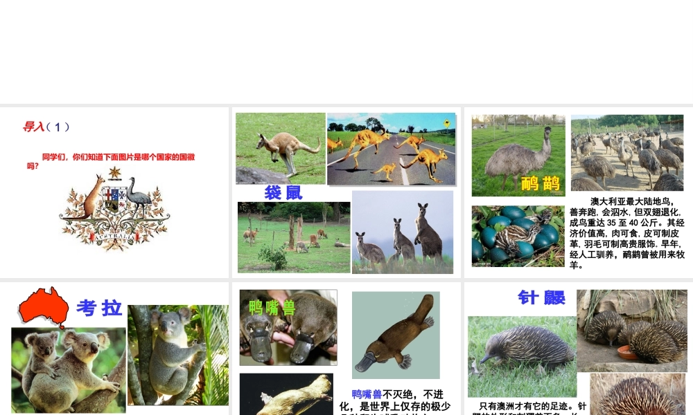 八年级地理下册 7.3《澳大利亚》课件2 中图版-中图版初中八年级下册地理课件