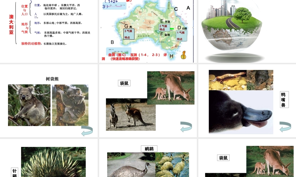 八年级地理下册 7.3《澳大利亚》课件2 中图版-中图版初中八年级下册地理课件