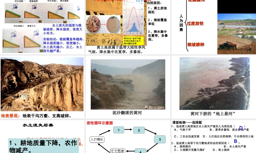 八年级地理下册 6.3 黄土高原（第1课时）课件 （新版）商务星球版-（新版）商务星球版初中八年级下册地理课件