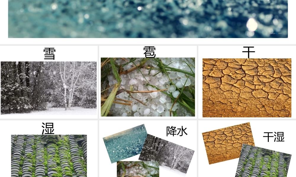 八年级地理上册 第二章 第二节 气候 东西干湿差异显著课件 新人教版-新人教版初中八年级上册地理课件