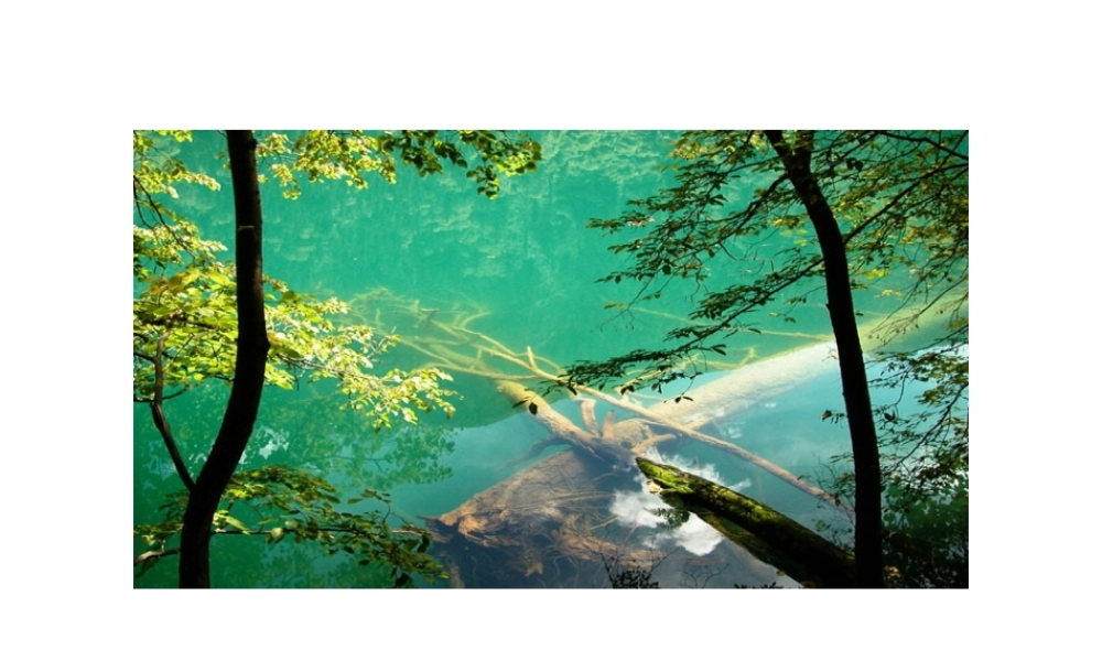 八年级地理上册 第三章 第三节《水资源》课件 新人教版