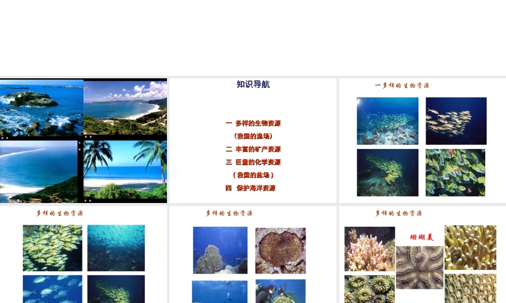 八年级地理上册 第三章 第四节 中国的海洋资源课件 （新版）湘教版-（新版）湘教版初中八年级全册地理课件