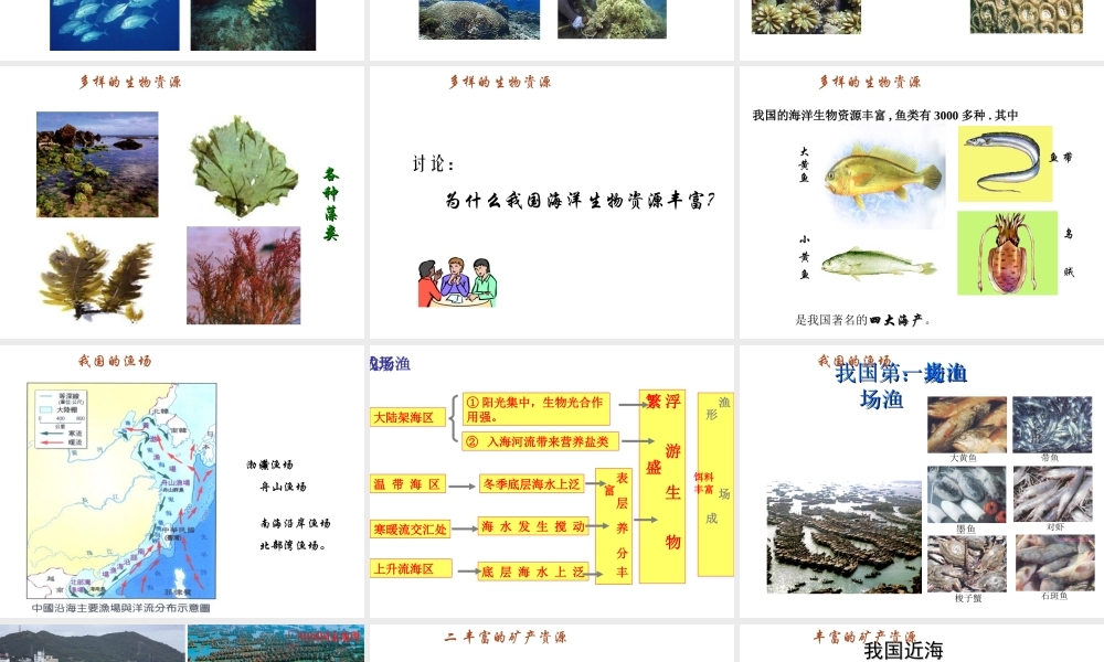 八年级地理上册 第三章 第四节 中国的海洋资源课件 （新版）湘教版-（新版）湘教版初中八年级全册地理课件