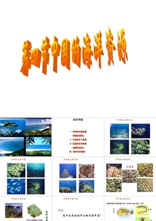 八年级地理上册 第三章 第四节 中国的海洋资源课件 （新版）湘教版-（新版）湘教版初中八年级全册地理课件