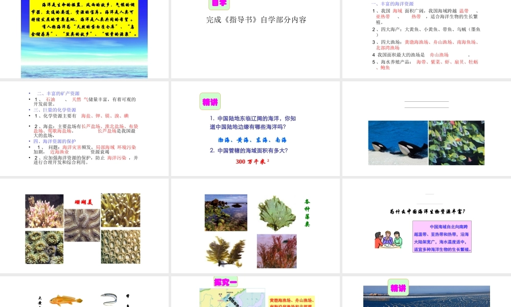 八年级地理上册 第三章 第四节 中国的海洋资源课件 （新版）湘教版-（新版）湘教版初中八年级上册地理课件