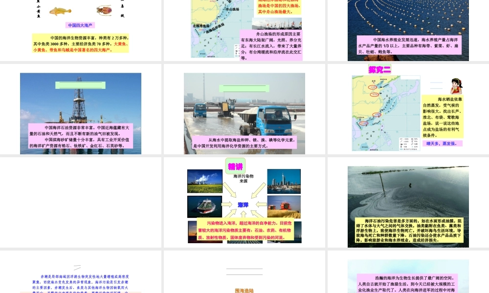 八年级地理上册 第三章 第四节 中国的海洋资源课件 （新版）湘教版-（新版）湘教版初中八年级上册地理课件