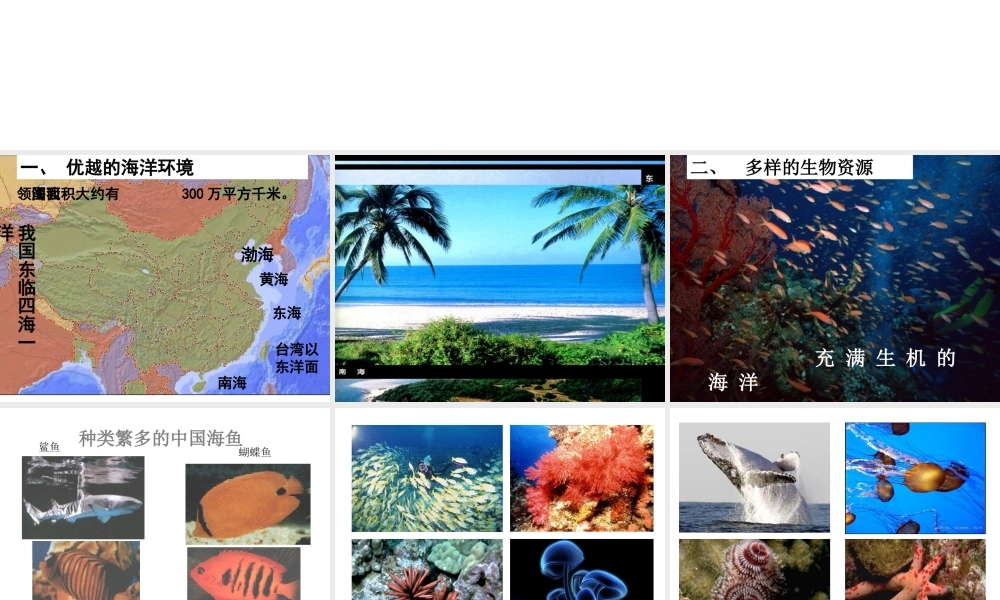 八年级地理上册 第三章 第四节 中国的海洋资源课件 （新版）湘教版-人教版初中八年级全册地理课件