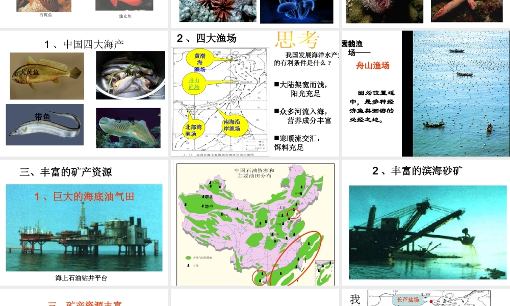 八年级地理上册 第三章 第四节 中国的海洋资源课件 （新版）湘教版-人教版初中八年级全册地理课件