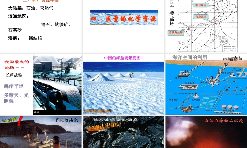 八年级地理上册 第三章 第四节 中国的海洋资源课件 （新版）湘教版-人教版初中八年级全册地理课件