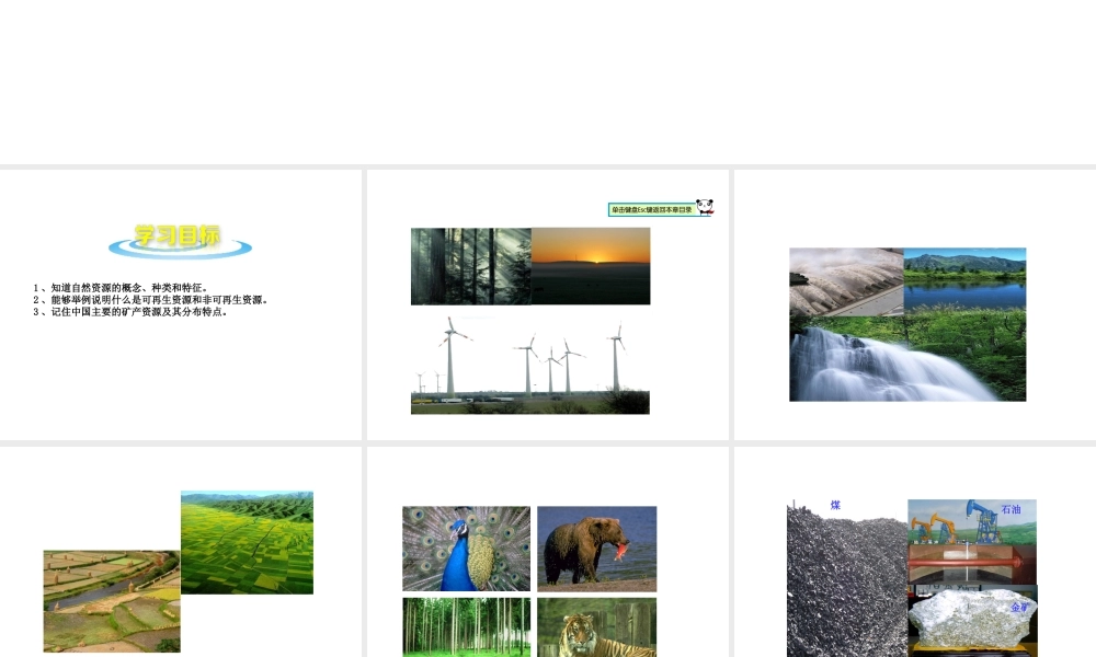 八年级地理上册 第三章 第一节 自然资源的概况课件 （新版）湘教版-（新版）湘教版初中八年级上册地理课件