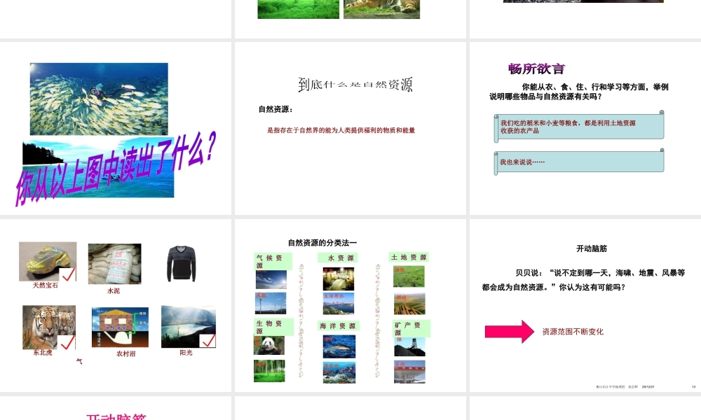 八年级地理上册 第三章 第一节 自然资源的概况课件 （新版）湘教版-（新版）湘教版初中八年级上册地理课件