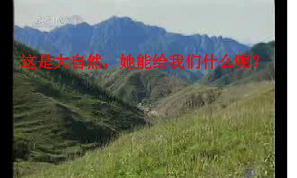 八年级地理上册 第三章 第一节 自然资源的基本特征课件 新人教版-新人教版初中八年级上册地理课件