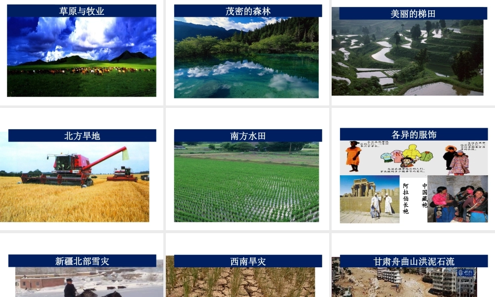 八年级地理上册 第二章 第二节 气候（第3课时）课件2 新人教版-新人教版初中八年级上册地理课件