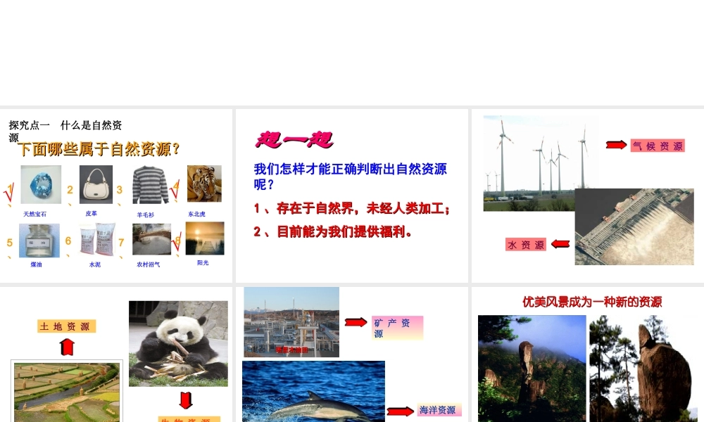 八年级地理上册 第三章 第一节 自然资源概况课件 （新版）湘教版-（新版）湘教版初中八年级上册地理课件