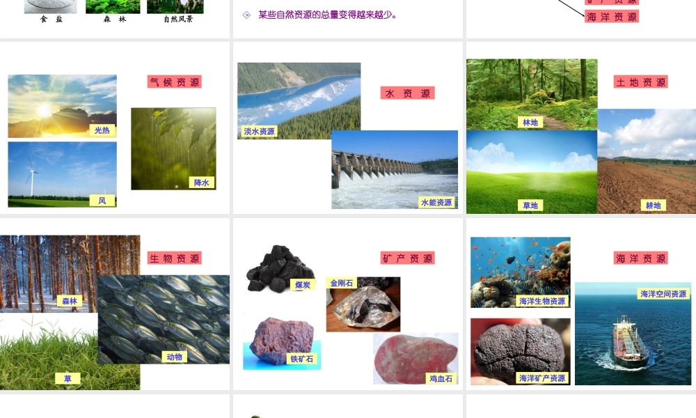 八年级地理上册 第三章 第一节 自然资源概况课件 （新版）新人教版