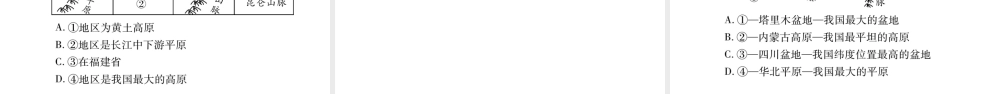 八年级地理上册 第2章 第1节 中国的地形（第2课时）习题课件 （新版）湘教版-（新版）湘教版初中八年级上册地理课件