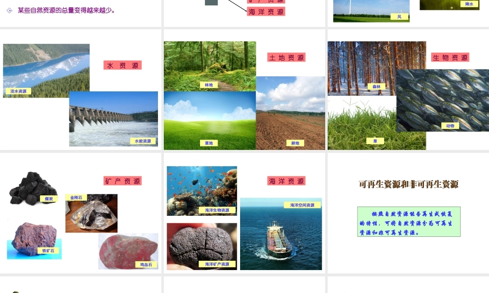 八年级地理上册 第三章 第一节 自然资源概况课件（1）（新版）湘教版-（新版）湘教版初中八年级上册地理课件