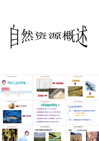 八年级地理上册 第三章 第一节 自然资源概述课件 新人教版