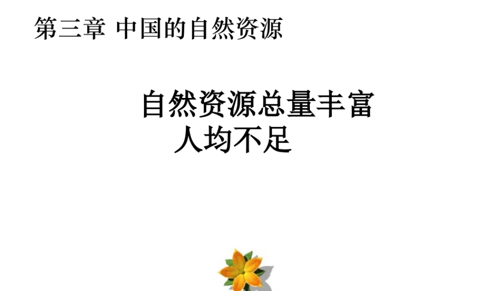 八年级地理上册 第三章 第一节 自然资源总量丰富人均不足课件 新人教版-新人教版初中八年级上册地理课件