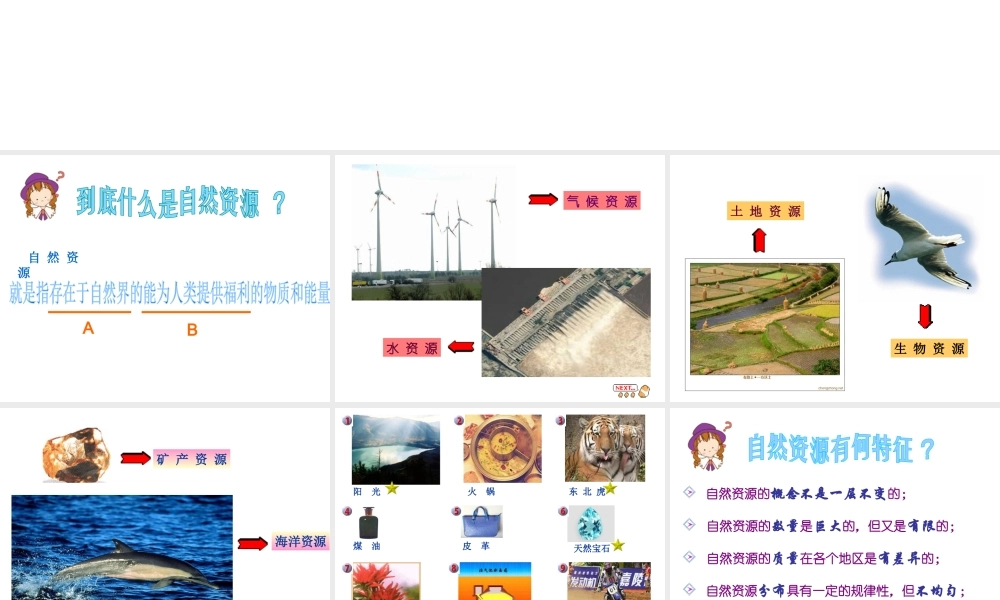 八年级地理上册 第三章 第与节 自然资源概况课件 湘教版-湘教版初中八年级上册地理课件