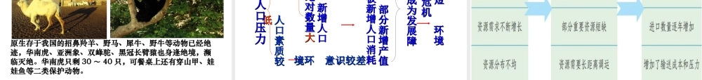 八年级地理上册 第三章 活动课 合理利用和保护自然资源教学课件 北师大版-北师大版初中八年级上册地理课件