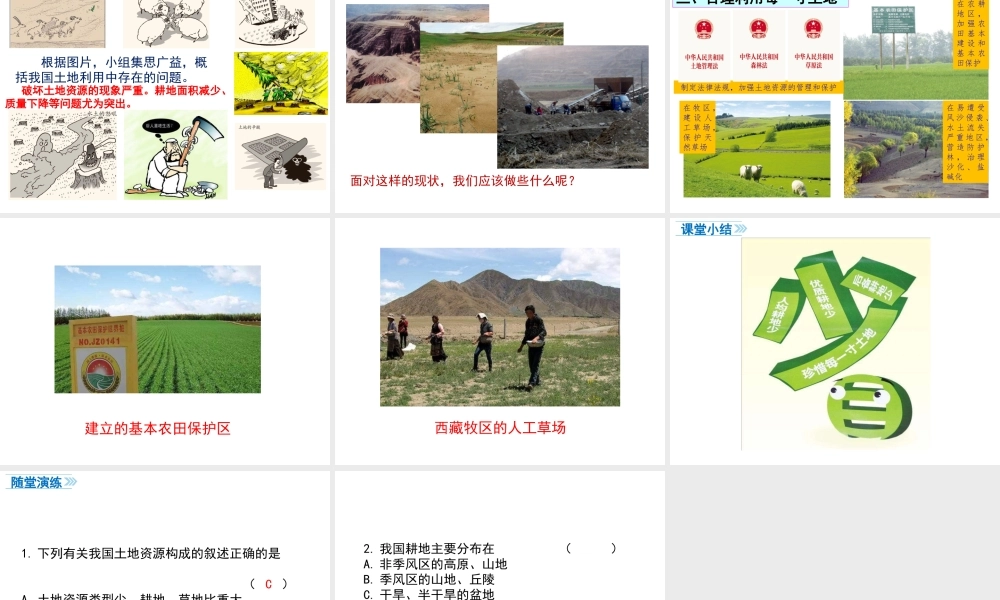 八年级地理上册 第三章 中国的自然资源 第二节 土地资源课件 （新版）新人教版-（新版）新人教版初中八年级上册地理课件