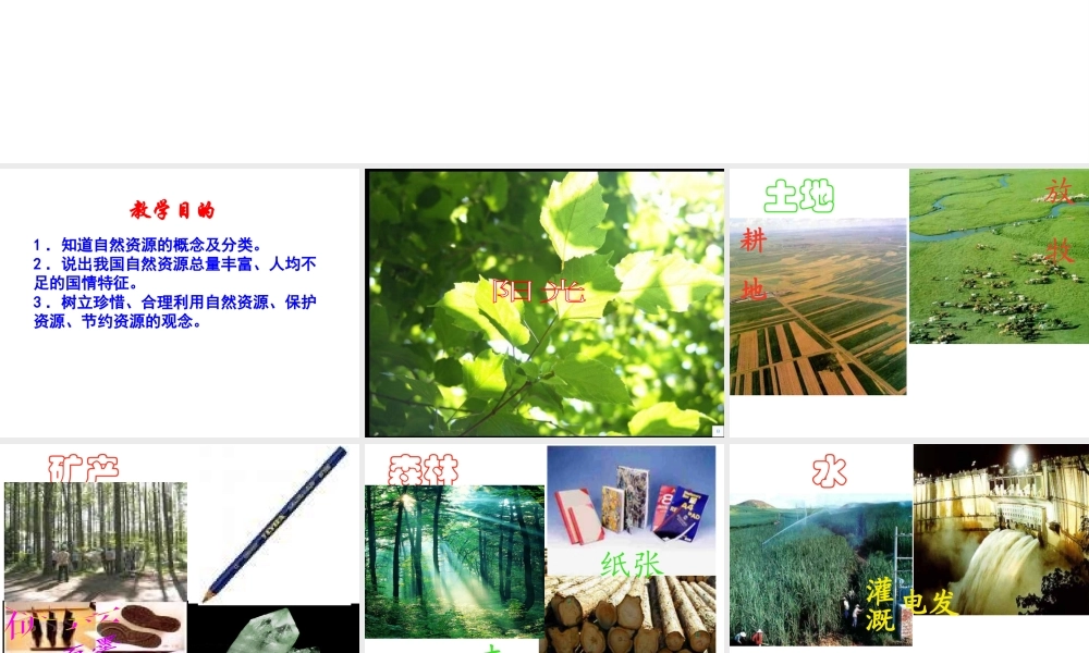 八年级地理上册 第三章 中国的自然资源 第一节 自然资源基本特征课件 新人教版