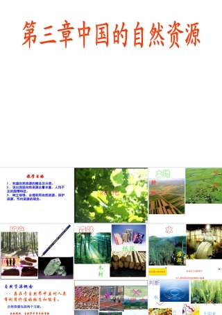八年级地理上册 第三章 中国的自然资源 第一节 自然资源基本特征课件 新人教版