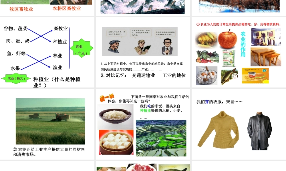 八年级地理上册 第四章 第二节 农业（第1课时）农业及其重要性我国农业的地区分布课件 （新版）新人教版-（新版）新人教版初中八年级上册地理课件