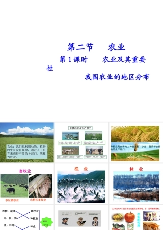 八年级地理上册 第四章 第二节 农业（第1课时）农业及其重要性我国农业的地区分布课件 （新版）新人教版-（新版）新人教版初中八年级上册地理课件