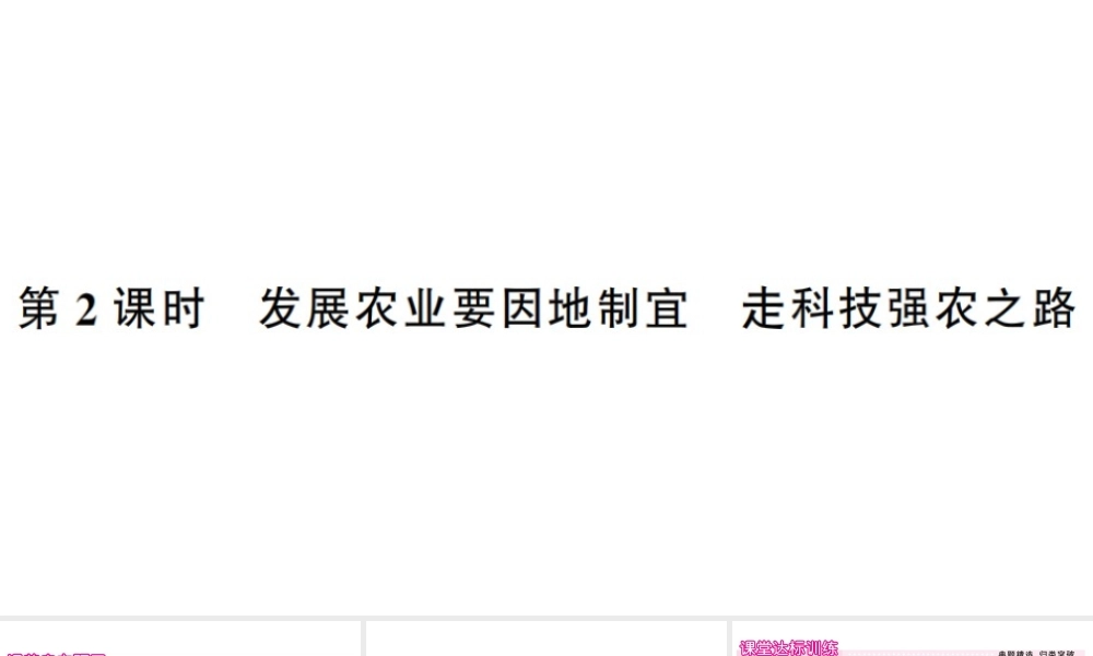 八年级地理上册 第四章 第二节 农业（第二课时）习题课件 （新版）新人教版-（新版）新人教版初中八年级上册地理课件