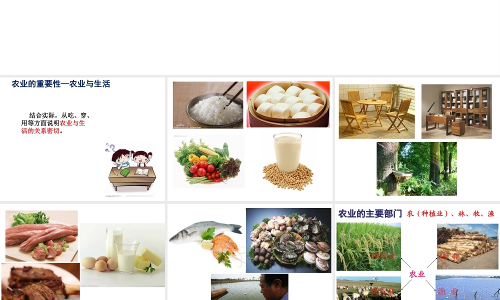 八年级地理上册 第四章 第二节 农业教学课件 （新版）新人教版-（新版）新人教版初中八年级上册地理课件