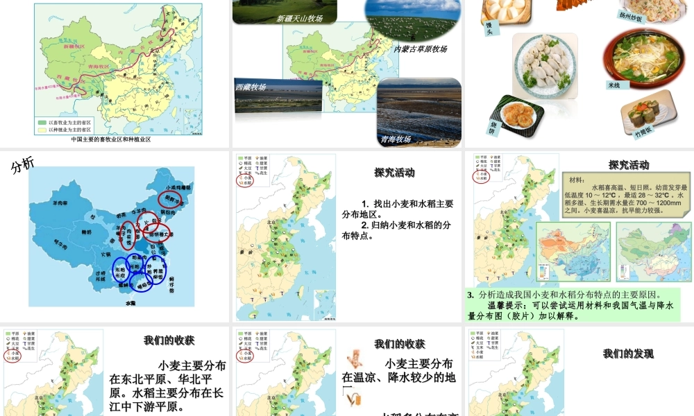 八年级地理上册 第四章 第二节 农业课件 （新版）新人教版-（新版）新人教版初中八年级上册地理课件
